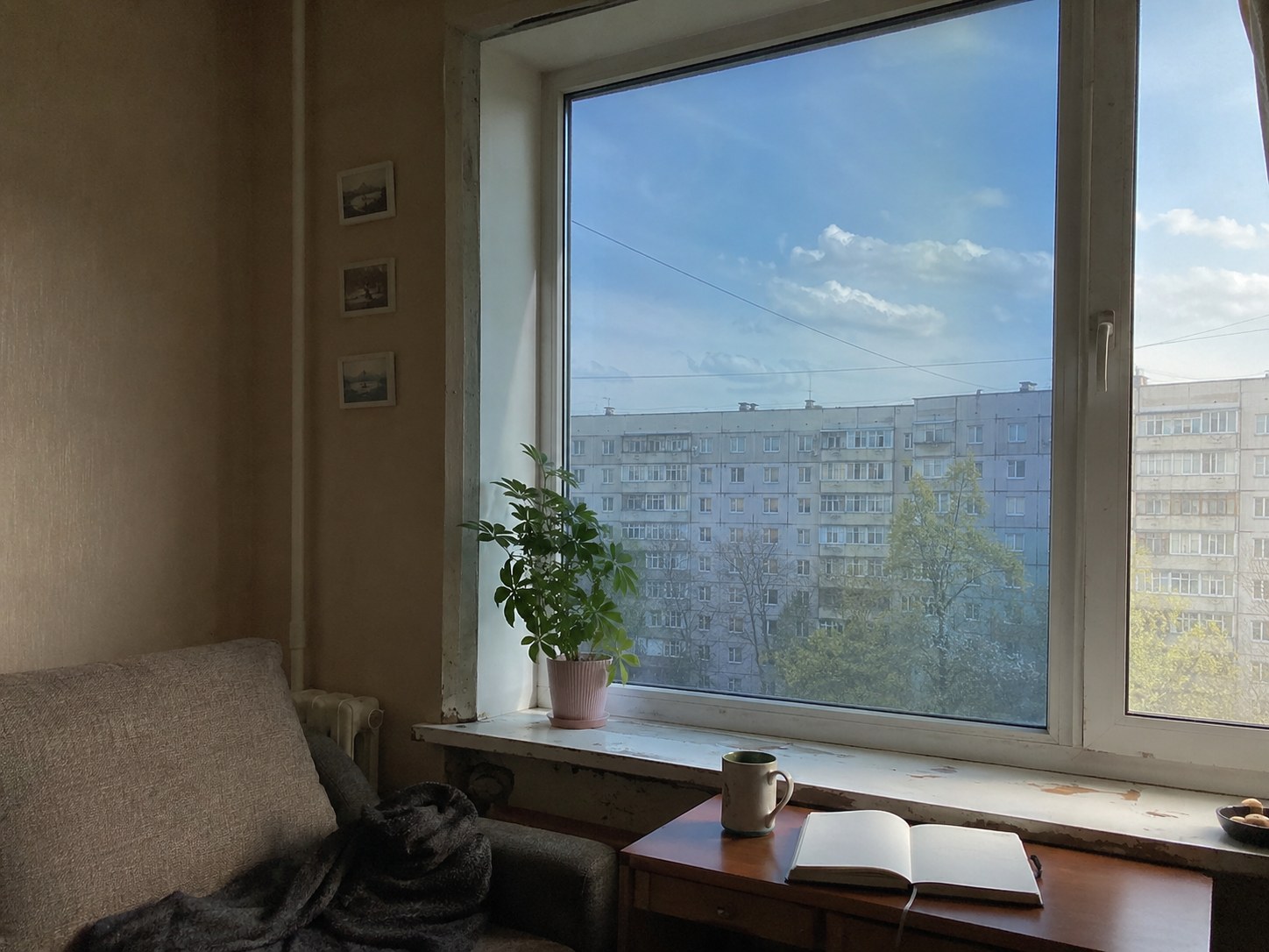 Uzlīmēta matēta logu plēve dzīvokļa logam ar dienasgaismu telpā